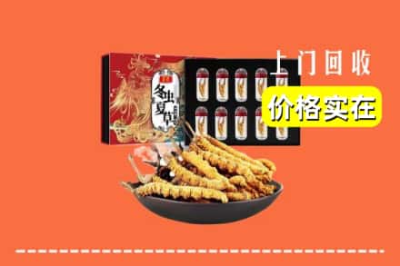红河州金平回收冬虫夏草