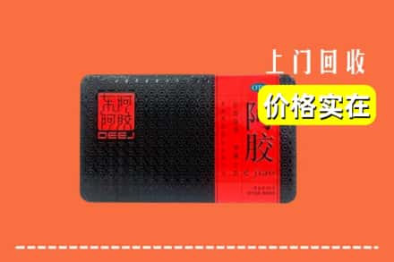 红河州金平回收阿胶