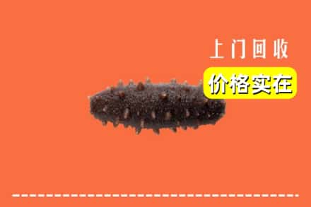红河州金平回收海参